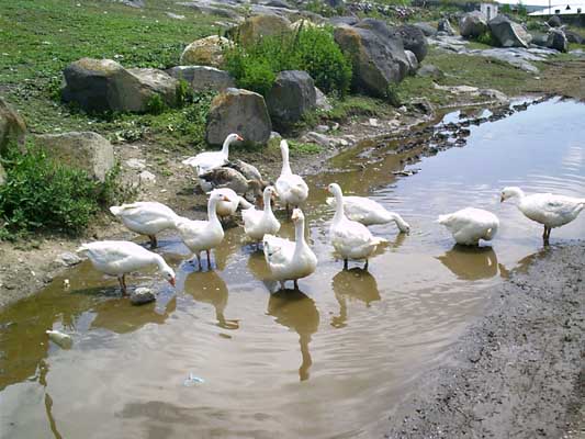 IMAG0042